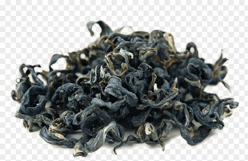 Green Tea Gyokuro Nilgiri Dianhong PNG