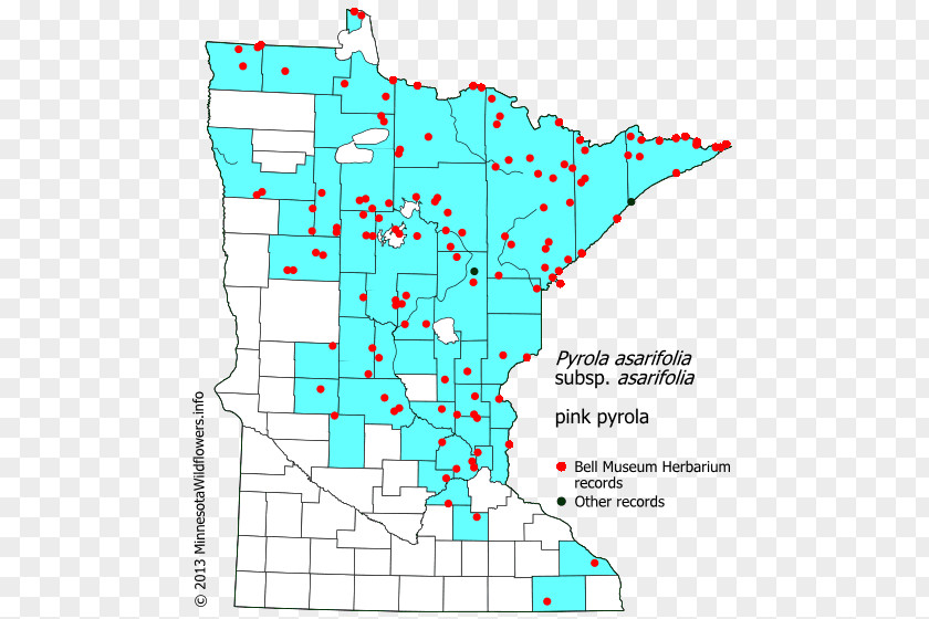 Line Minnesota Point Angle Diagram PNG