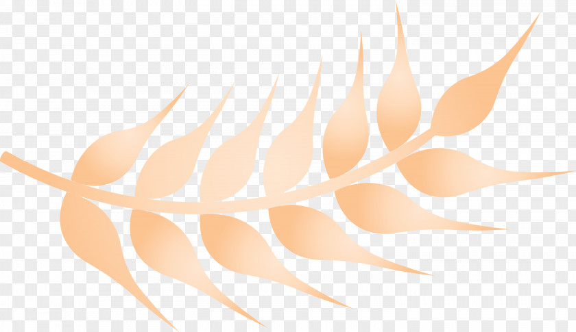 Wheat Ears PNG