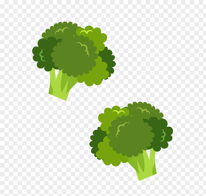Broccoli Bento Vegetable Food PNG