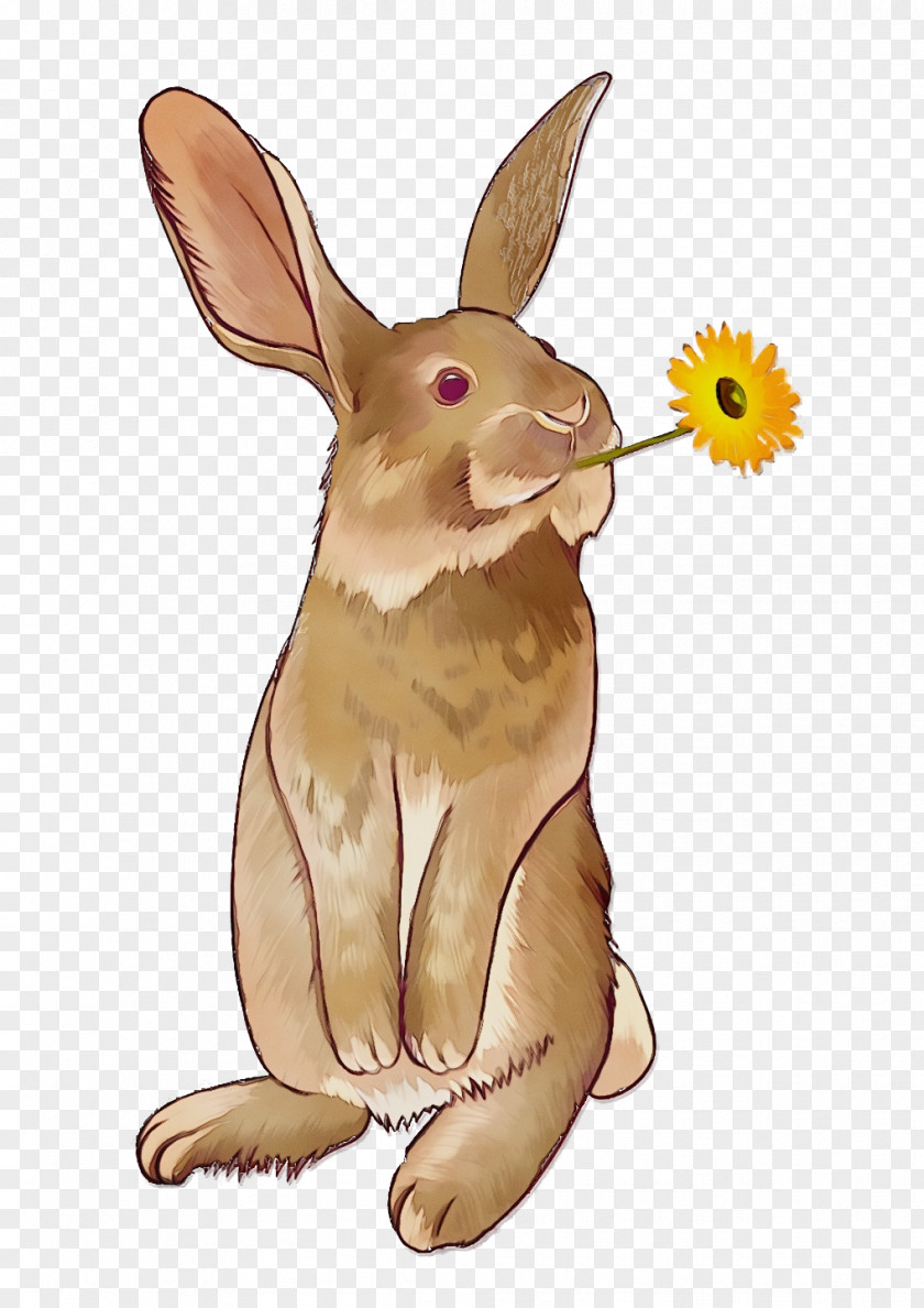 Bugs Bunny PNG