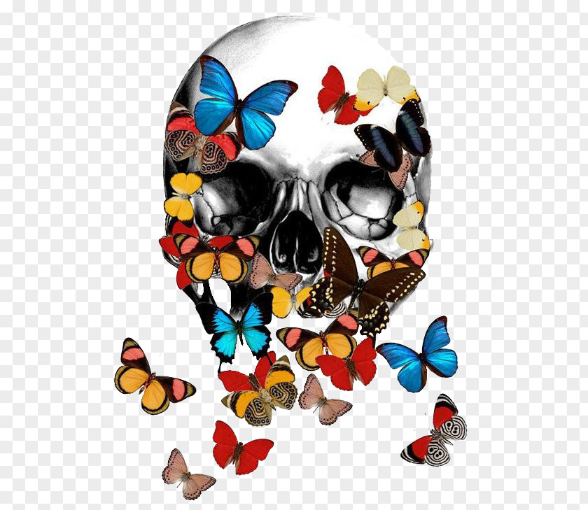 Butterfly Skull Bones T-shirt Calavera Bone Skeleton PNG