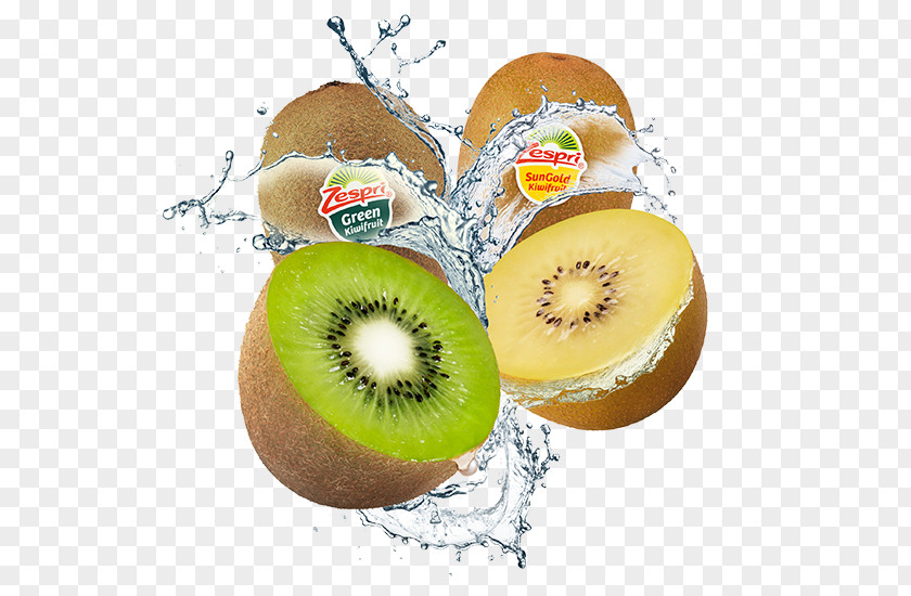 Kiwi Bird Kiwifruit Food Nutrition PNG