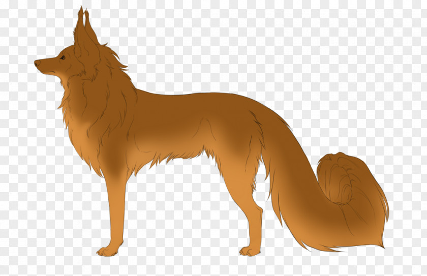 North Swedish Horse Saddled Dog Breed Finnish Spitz Red Fox Dhole Snout PNG