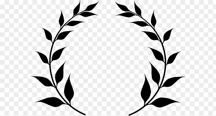 Olive Tree Branch Laurel Wreath Clip Art PNG