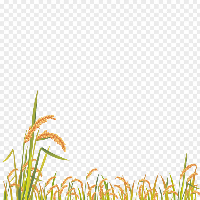 Cartoon Grass PNG