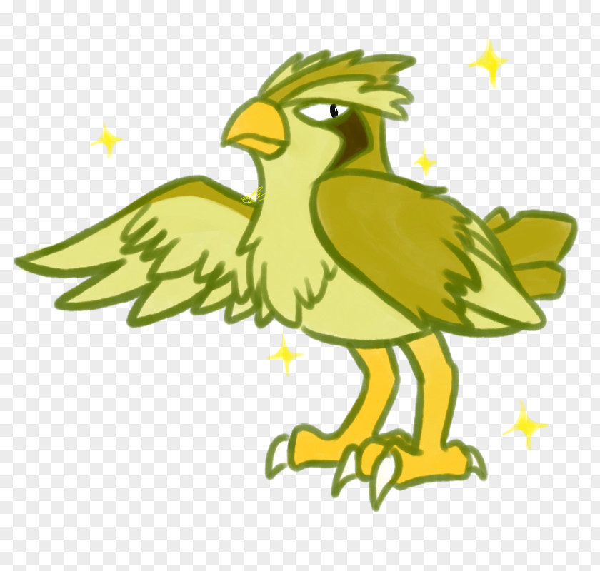 Falconiformes Wildlife Bird Beak Yellow Cartoon Clip Art PNG