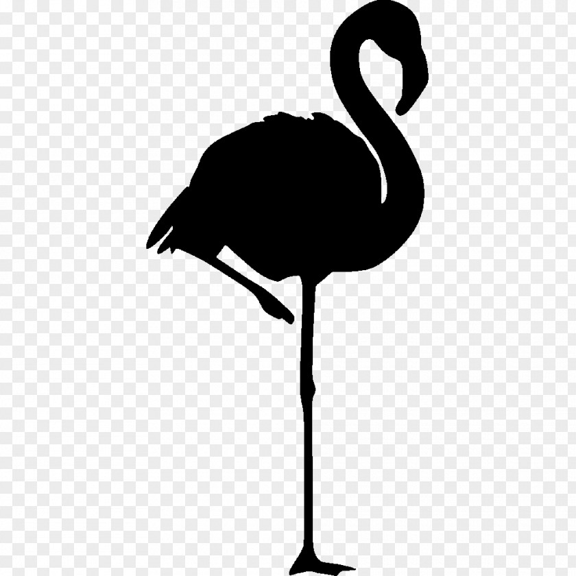 Flamingos Flamingo Logo Pink Clip Art PNG