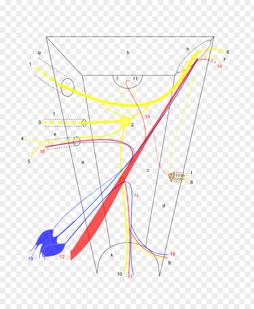 Line Product Design /m/02csf Drawing Point PNG