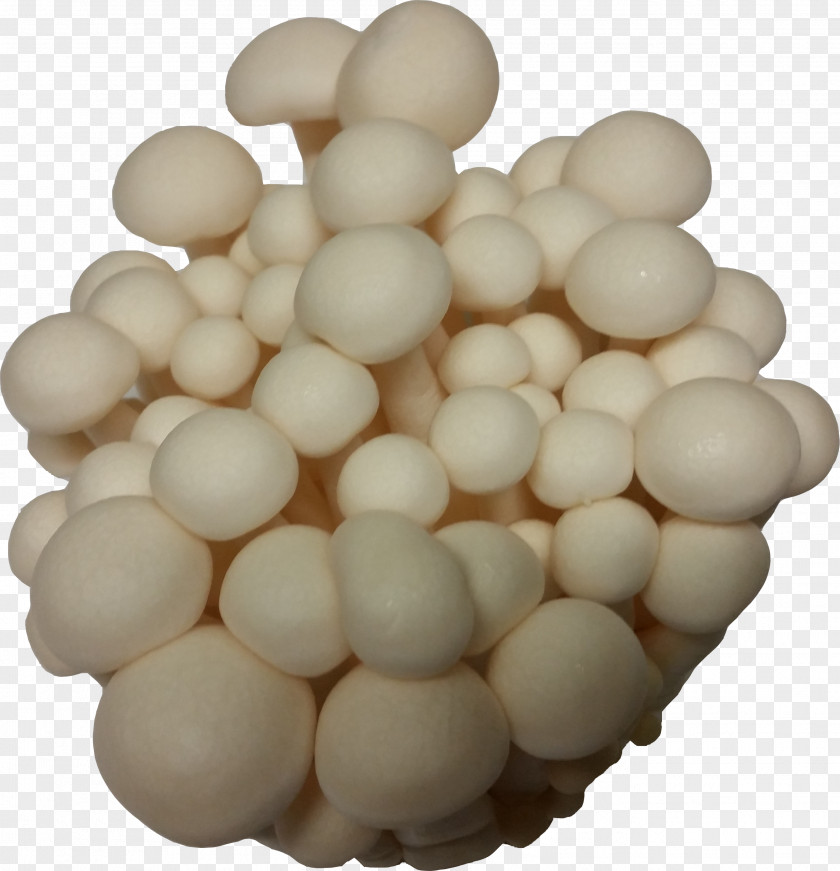 Mushroom Ingredient Egg PNG