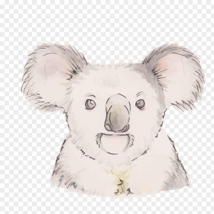 Vector Tree Bag Bear Drawing Animal PNG