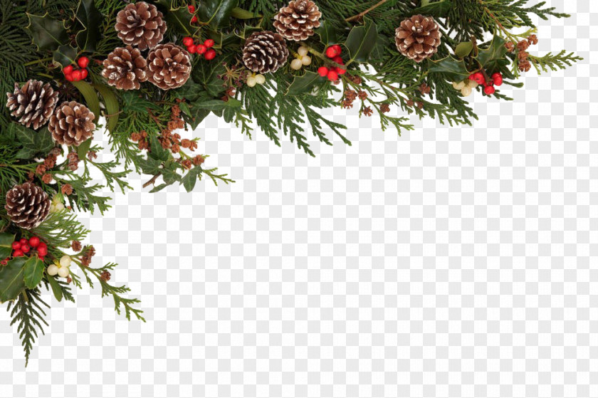 Christmas Decoration Common Holly Stock Photography Clip Art PNG