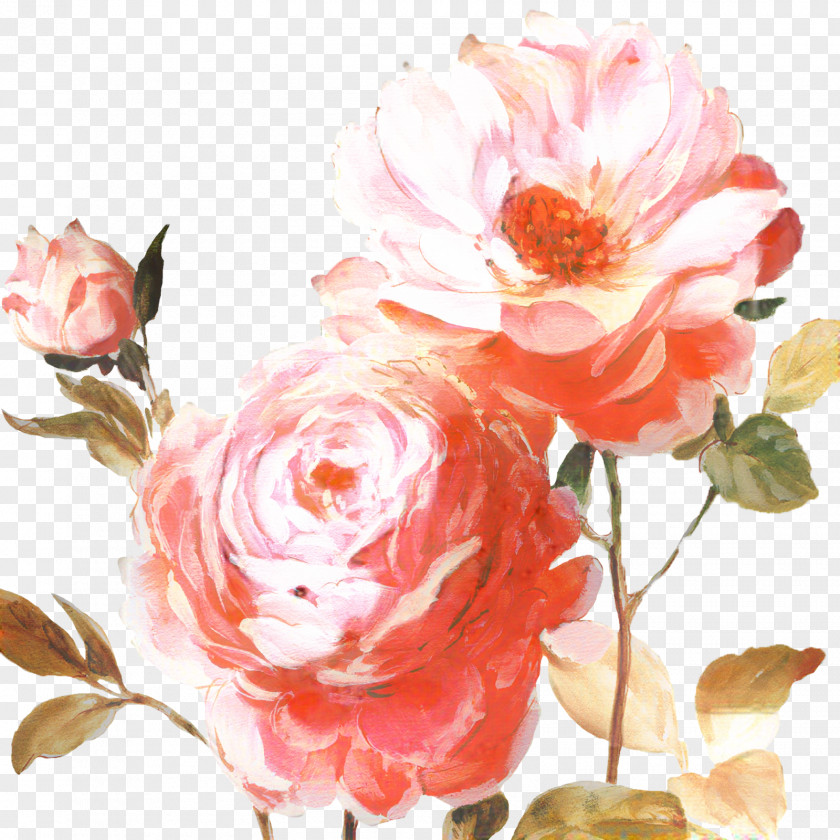 Floral Design Rose Flower Painting Canvas PNG