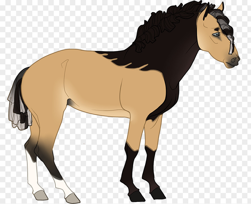 Mustang Foal Stallion Mare Colt PNG