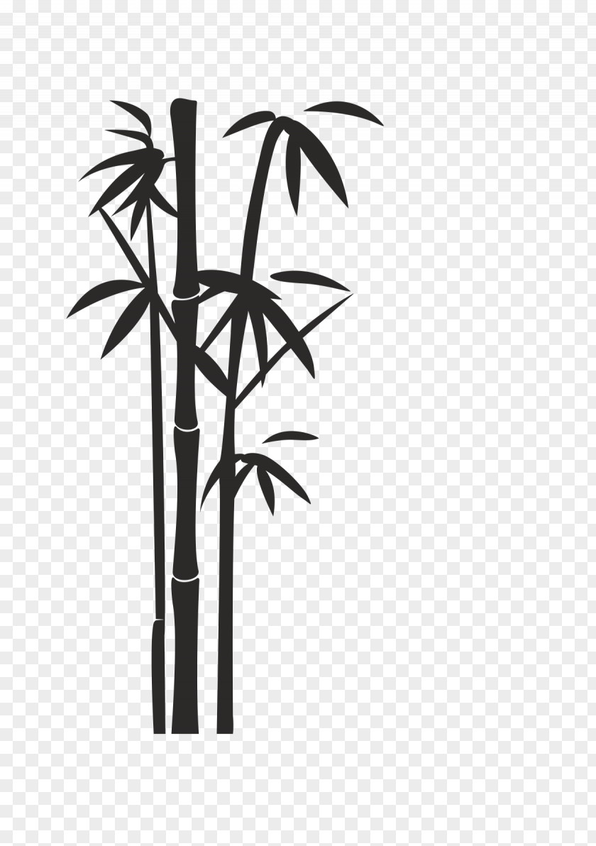 Bamboo Plant Clip Art Transparency Image Vector Graphics PNG