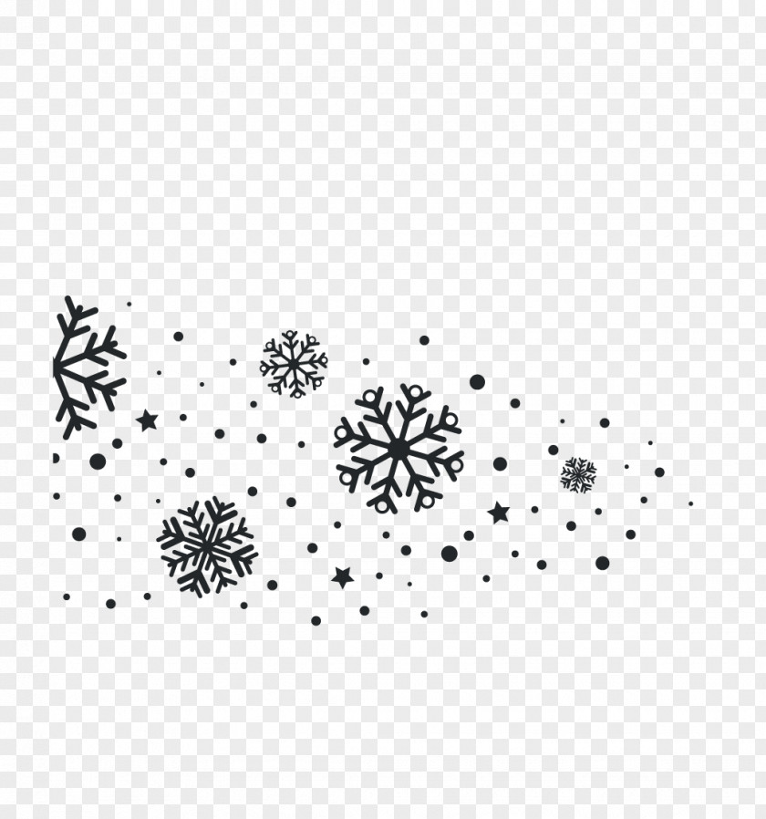 Christmas Snowflakes Snowflake PNG