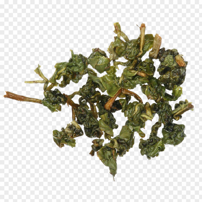 Ding Tieguanyin Leaf Vegetable PNG
