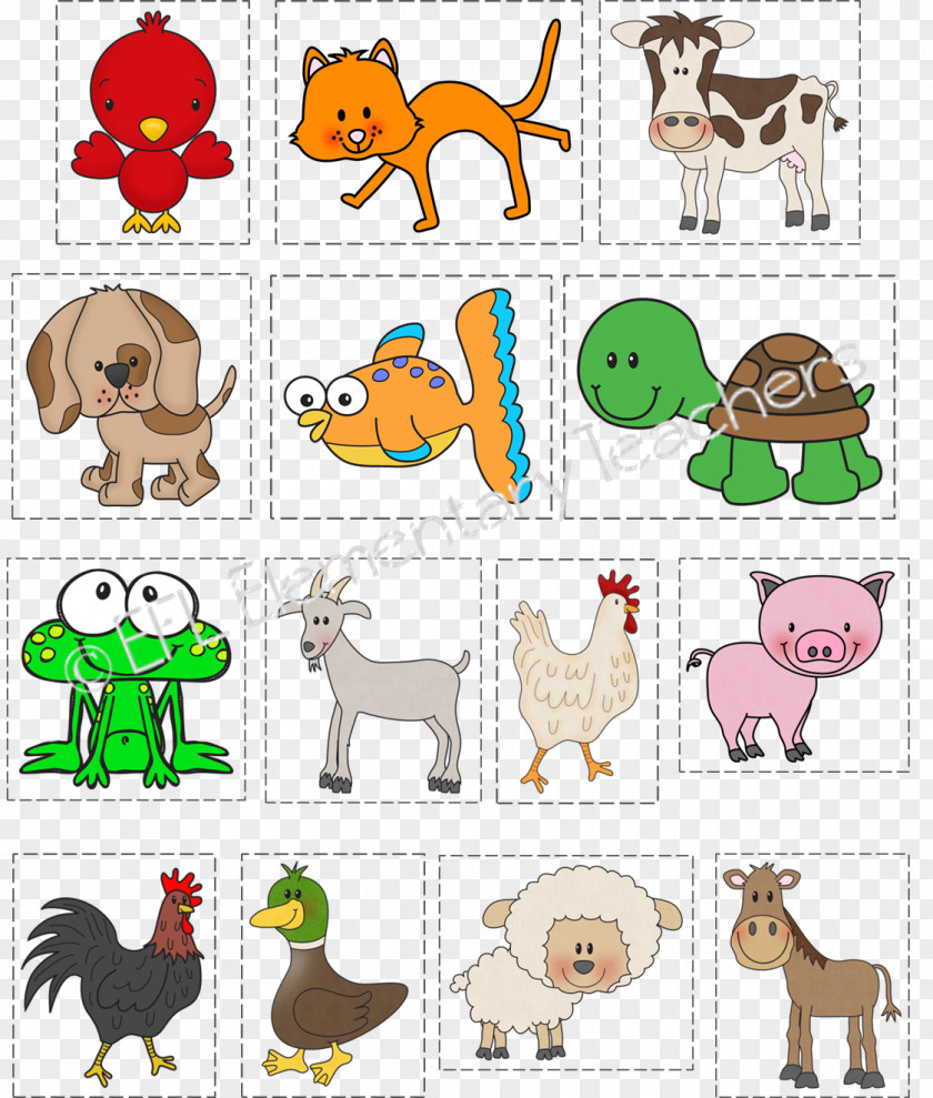 Elementary Teacher Salary Florida Dog Breed Clip Art Paper PNG