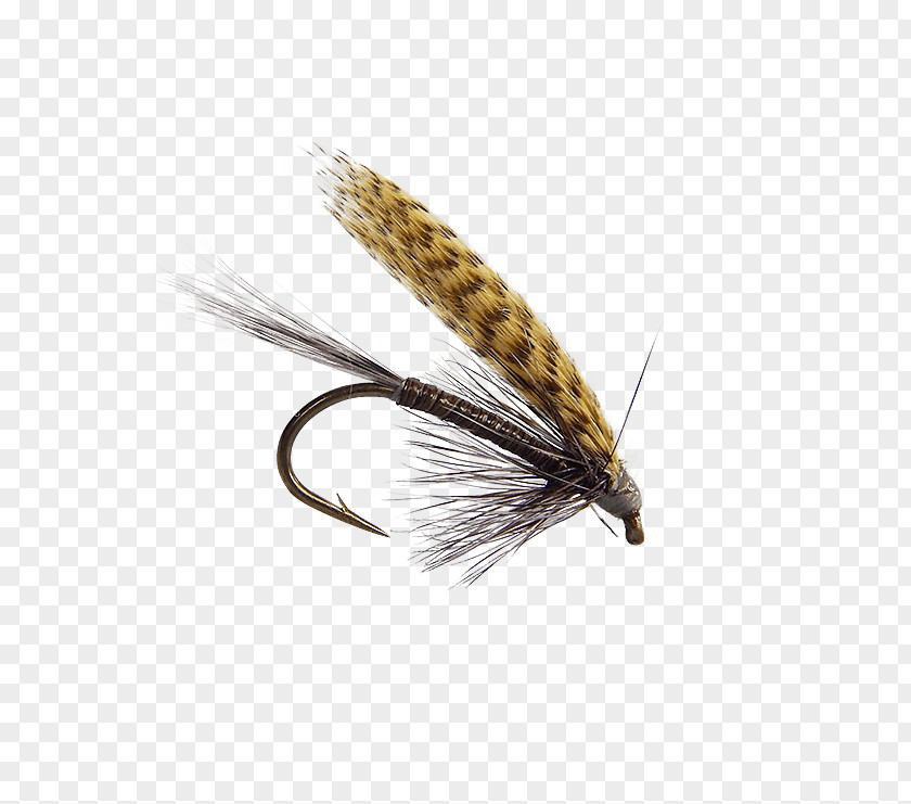 Insect Quill Gordon Artificial Fly Emergers Fishing PNG