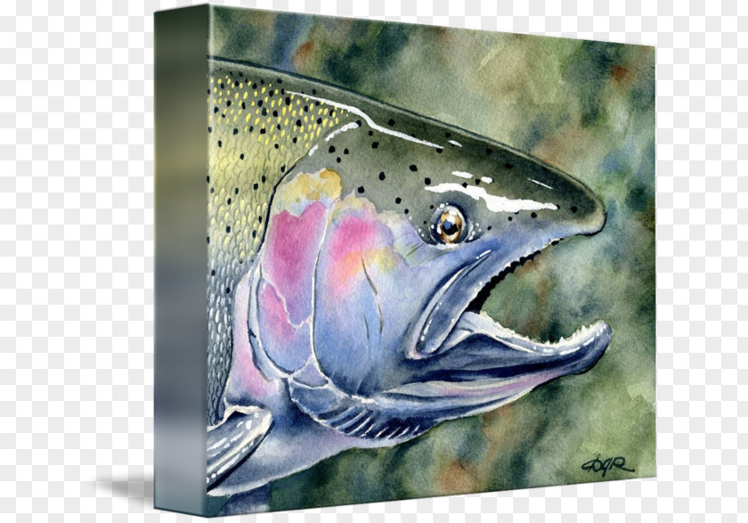 Painting Coho Salmon 09777 Trout PNG