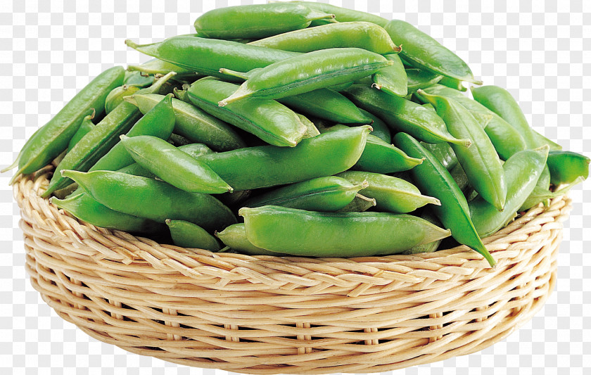 Pea Edamame Green Bean Common PNG