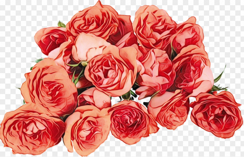 Plant Hybrid Tea Rose Garden Roses PNG