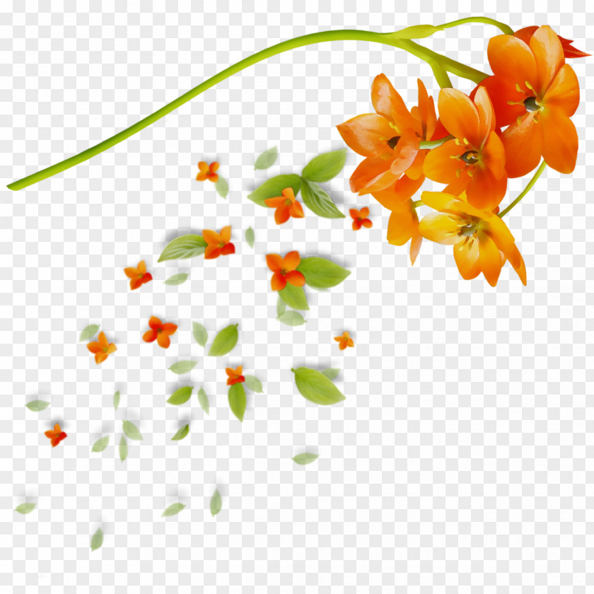 Wildflower Branch Flowers Background PNG