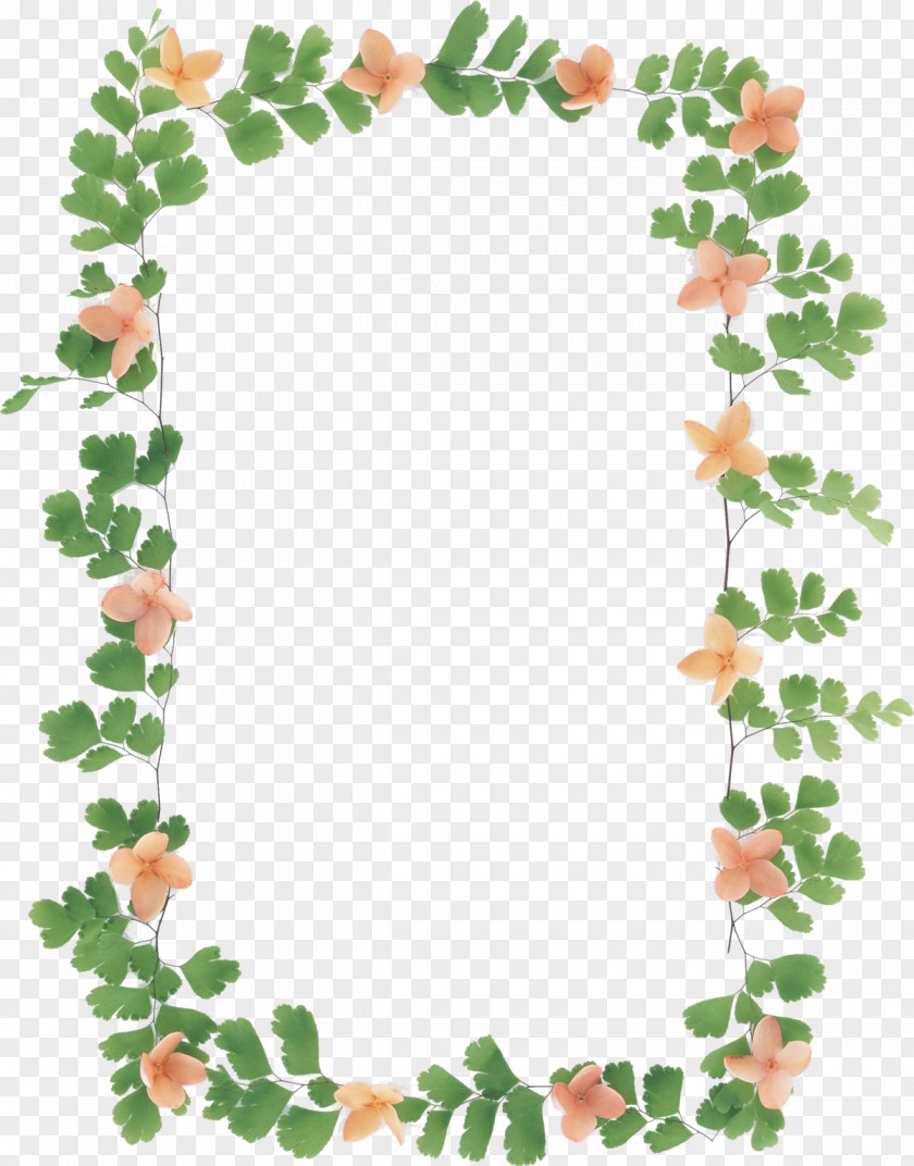 Flower Photography No Picture Frames PNG