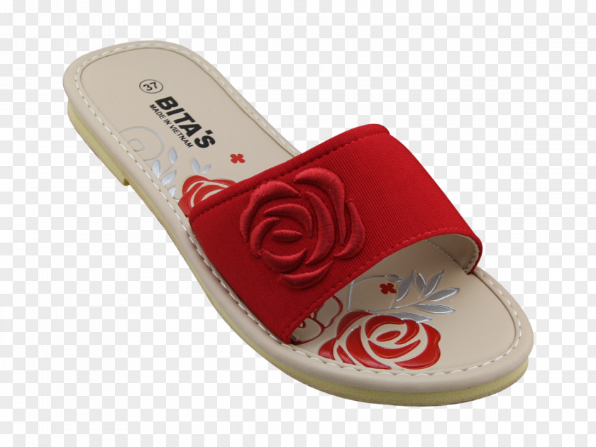 Họa Tiết Slipper Red Shoe Flip-flops Fashion PNG