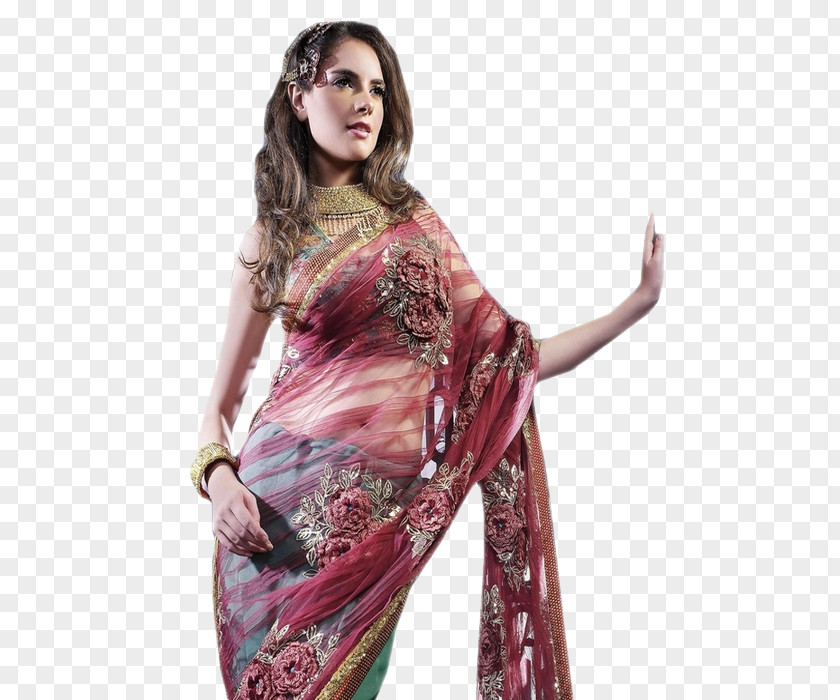 Indian Woman Norwegian Krone Fashion Blog Sari Magenta PNG