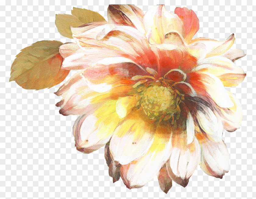 Peach Wildflower Flowers Background PNG