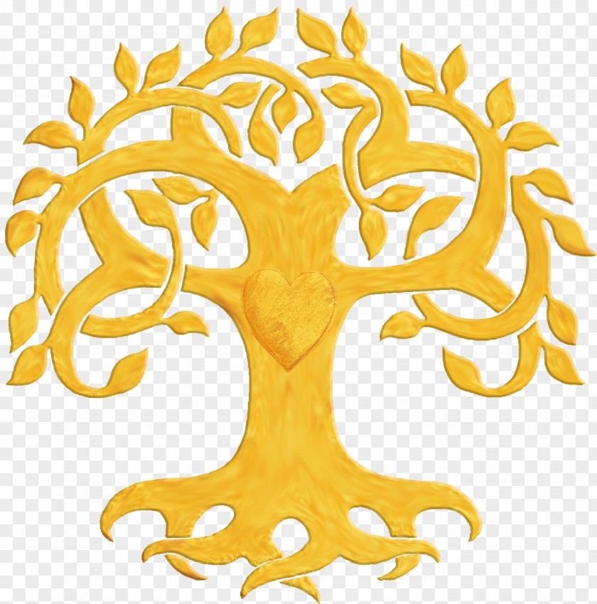 Tree Celtic Sacred Trees PNG