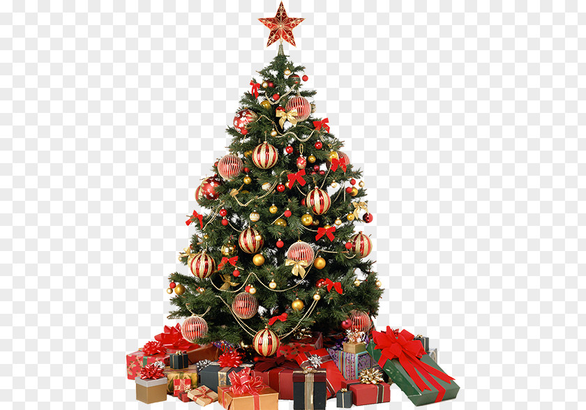 Christmas Tree Farm Tree-topper PNG