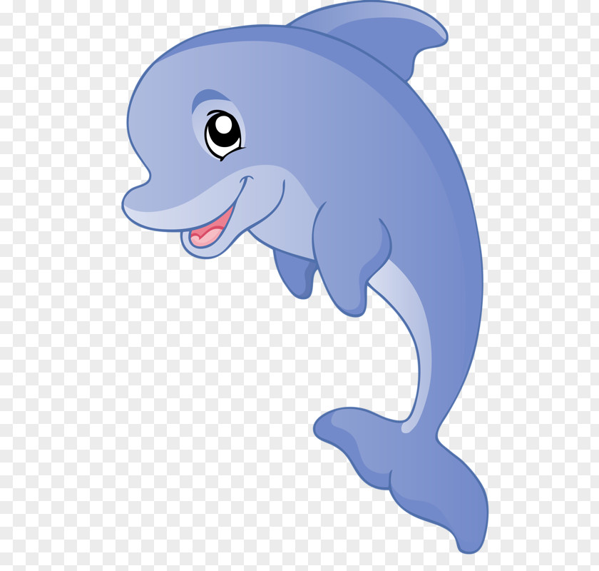 Dolphin Tucuxi Common Bottlenose Cartoon Clip Art PNG