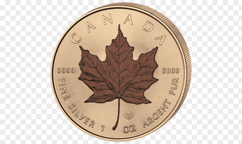 Gold Canadian Maple Leaf Silver PNG
