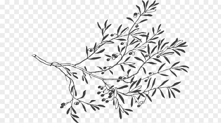 Leaf Sketch Drawing Branch Breathing Is Overrated Clip Art PNG