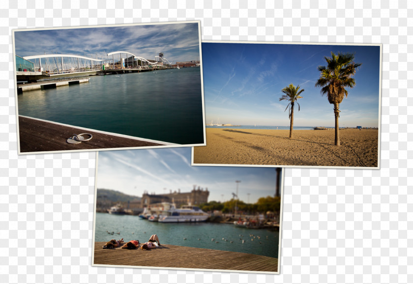 Plage Barcelona Vacation Churro Blog Collage PNG