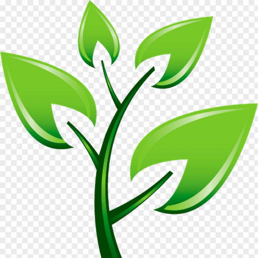 Tree Planting Pruning Clip Art PNG