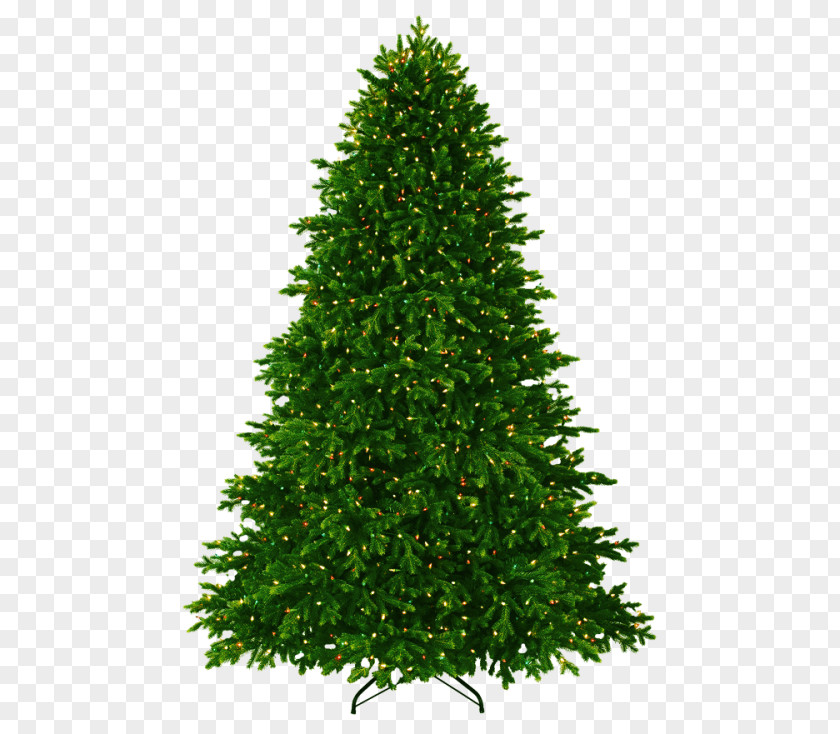 Christmastree Symbol Clip Art Fir Image Desktop Wallpaper PNG