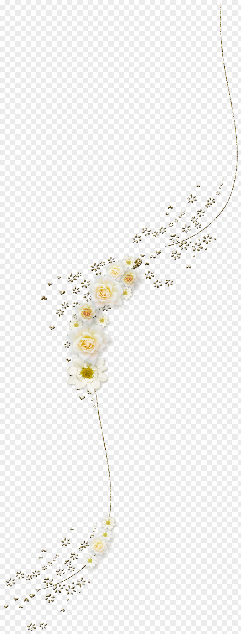 Flower Download Petal Floral Design PNG