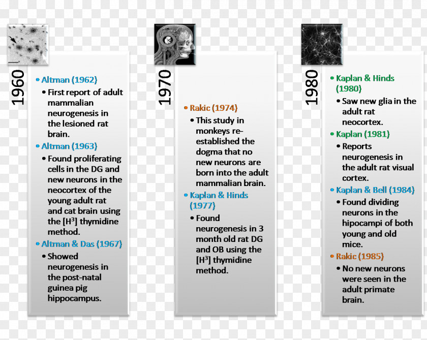Health Natural History Of Disease Epidemiology Timeline PNG