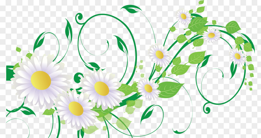 Matricaria Home Page Clip Art PNG