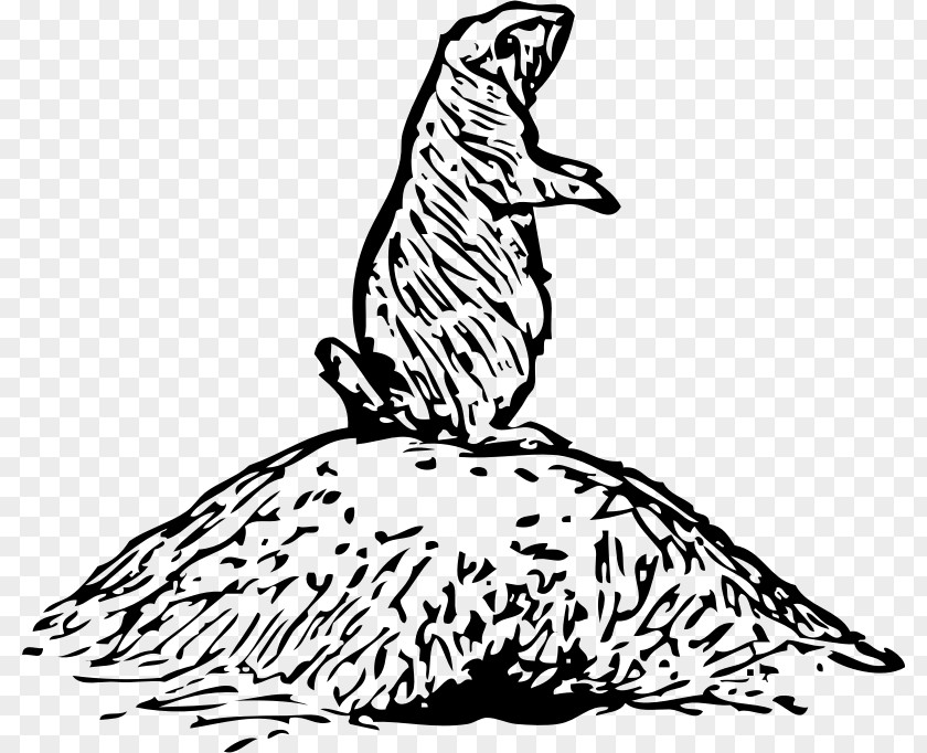 Prairie Dog Beagle Basset Hound Drawing Clip Art PNG