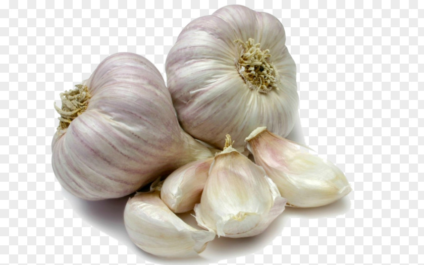 Vegetable Garlic Scape Crostino Onion PNG
