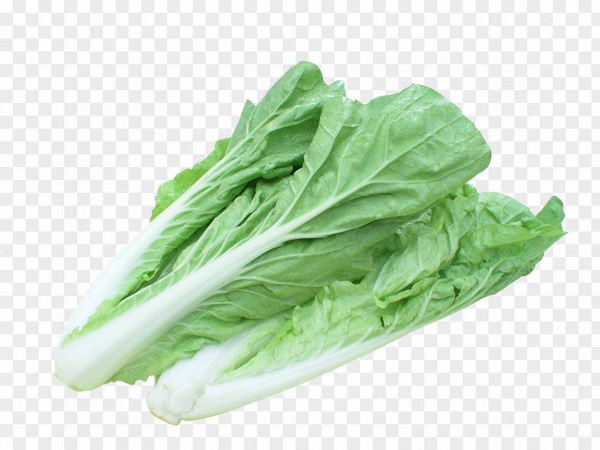 2 Parts Of Cabbage Chinese Vegetable Bok Choy Seed PNG