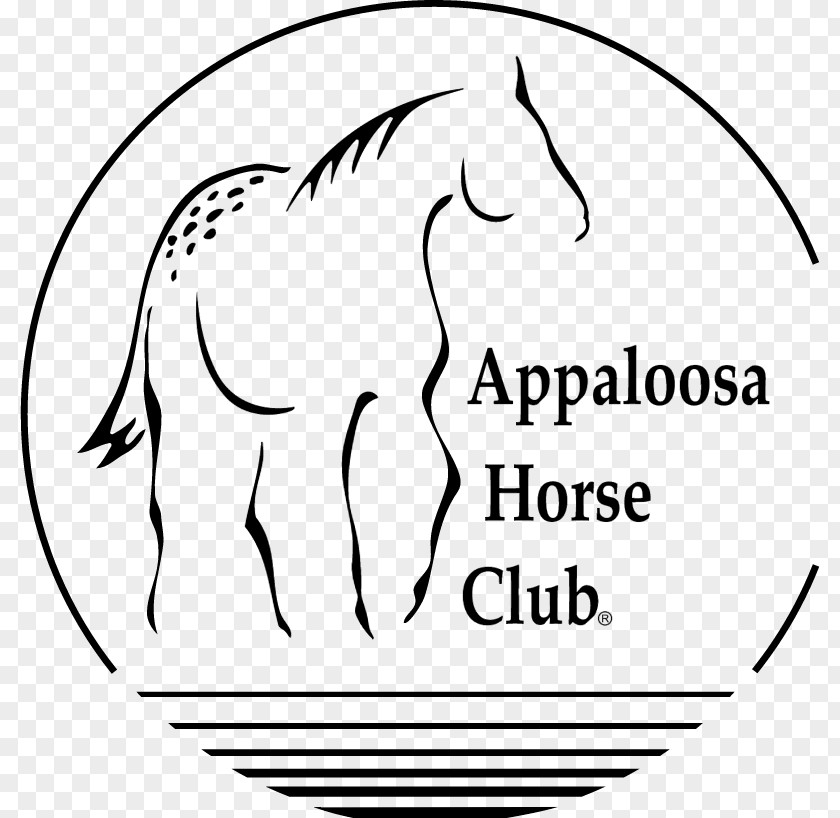 Appaloosahorseclublogo Appaloosa Horse Club American Paint Moscow Colt PNG