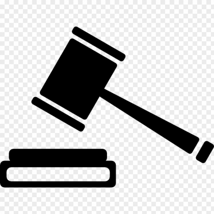 Lawyer Court Criminal Defense PNG