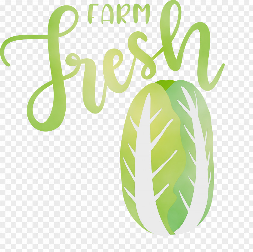 Logo Font Leaf Green Meter PNG
