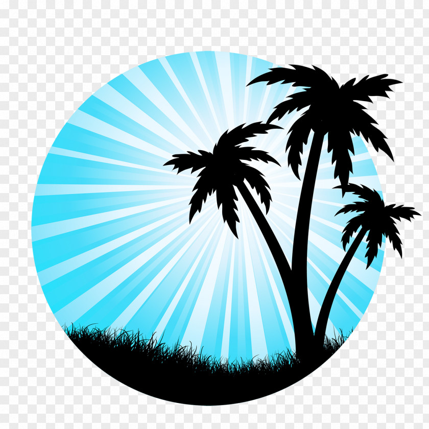Silhouette Arecaceae Tree Drawing PNG
