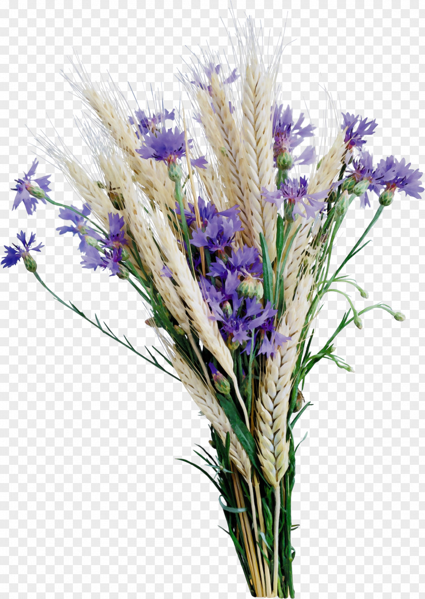 Egyptian Lavender Artificial Flower Flowers Background PNG